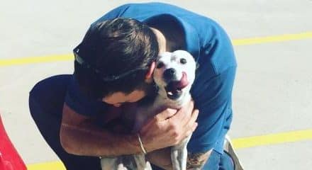 man hugging small dog at airport