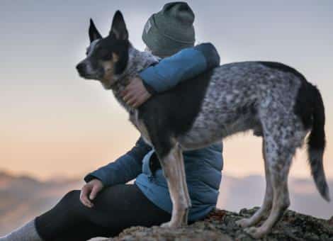 person sitting with left arm round large dogs' neck