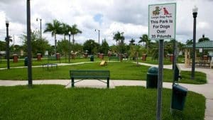 Amelia Earhart park