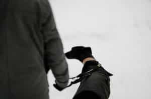 black dog with coat on lead