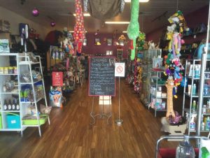 canine comfort - Places to Take Your Dog in Brisbane