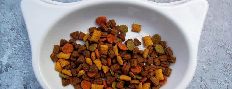 How to recycle your pet food products PetAir