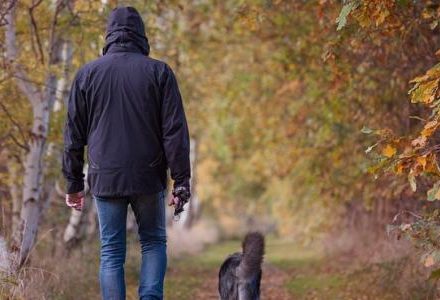 man and dog walking in the forest
