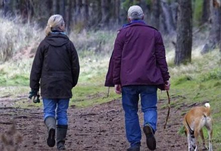 couple walking their dog in the forest