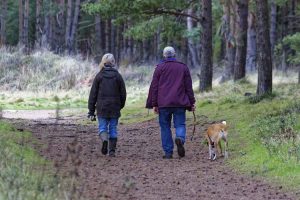 elderly couple walking dog