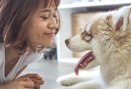 girl and dog watching each other