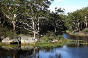 lake parramatta
