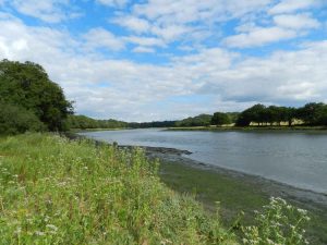 manor farm country park
