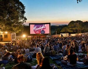 moonlight cinema