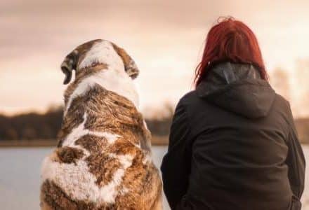 back view of human and dog sitting looking out over lake