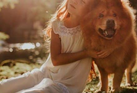 child and dog hugging in the sun