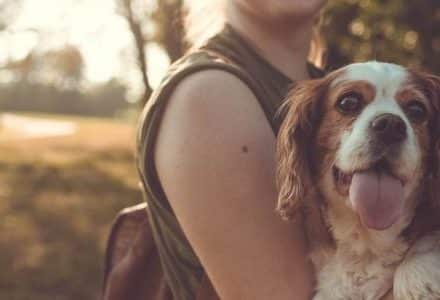 woman holding dog in arms