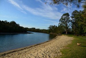 schuster park - Places to Take Your Dog in Brisbane
