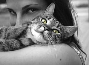 tabby cat being cuddled