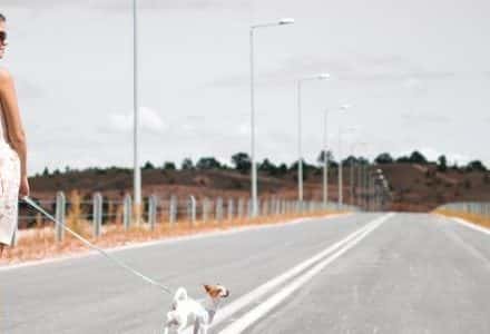 woman and small dog on lead walking on a road