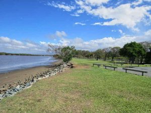 Tuckeroo Park - Places to Take Your Dog in Brisbane