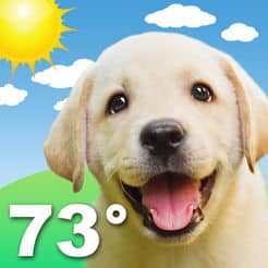 puppy next to the sun