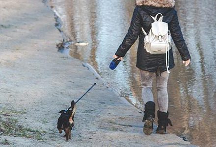 Woman walking dog