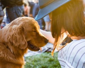 Side on lights brown spaniel and next to woman wearing a hat