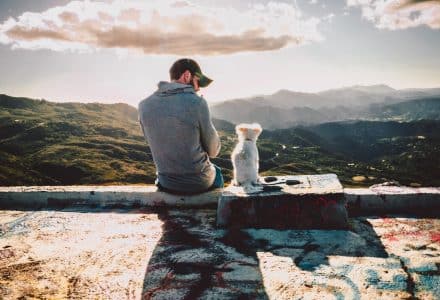 Man and dog sat on a wall overlooking hills