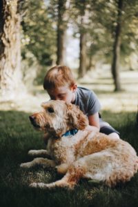 dog adoption