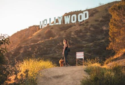 Where to take your dog in Los Angeles