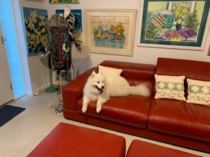 Dog travel to Australia