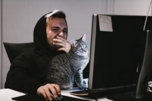 Why your pet is the best co-worker you can have