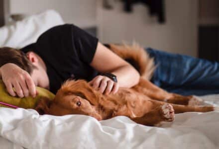 Should we be co-sleeping with our dogs?