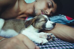 co-sleeping with our dogs