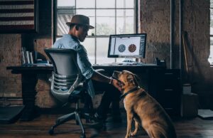 taking your dog to work
