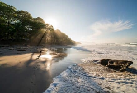 where to take your dog in Costa Rica