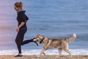 dog breeds that love running
