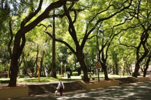 Where to take your dog in Buenos Aires