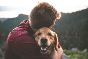 benefits of adopting an older dog