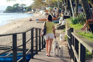 Where to take your dog in Rio de Janeiro