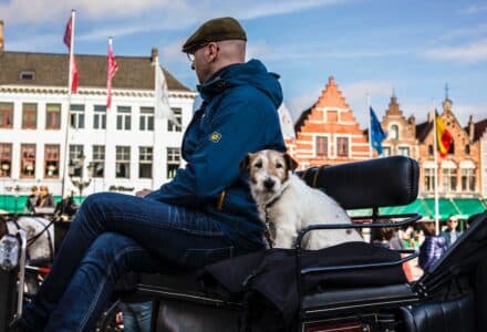 where to take your dog in bruges