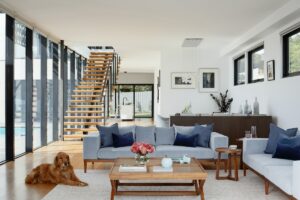 How to keep your house clean when you’ve got pets