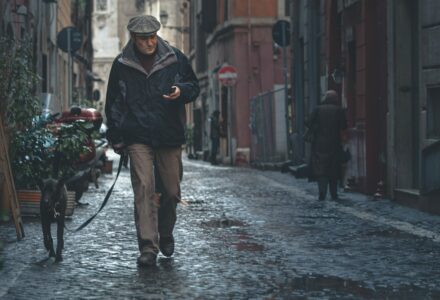 dog friendly rome
