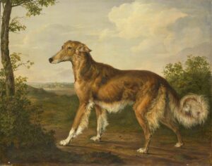 New Google app finds your pets doppelgängers in art museums
