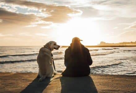 where to take your dog in Barcelona