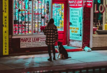 where to take your dog in ottawa