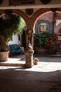 Where to take your dog in Peru