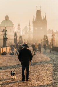 where to take your dog in prague