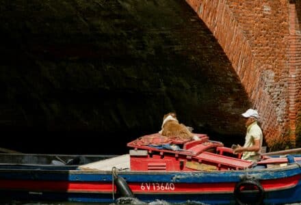 dog friendly venice, italy