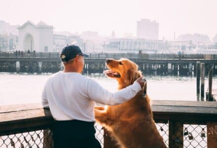How to tell that your dog really loves you