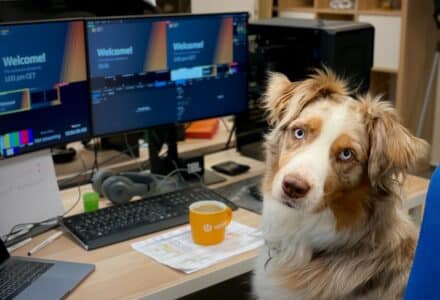 dog in office