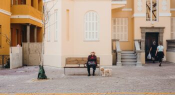 where to take your dog in Tel Aviv
