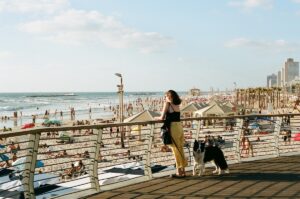 dog friendly Tel Aviv