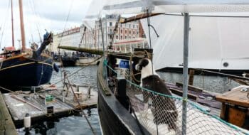 dog friendly copenhagen